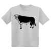 Youth DryBlend ® 50 Cotton/50 Poly T Shirt Thumbnail