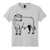 Youth DryBlend ® 50 Cotton/50 Poly T Shirt Thumbnail