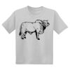 Youth DryBlend ® 50 Cotton/50 Poly T Shirt Thumbnail