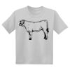 Youth DryBlend ® 50 Cotton/50 Poly T Shirt Thumbnail