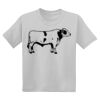 Youth DryBlend ® 50 Cotton/50 Poly T Shirt Thumbnail