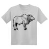 Youth DryBlend ® 50 Cotton/50 Poly T Shirt Thumbnail