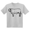 Youth DryBlend ® 50 Cotton/50 Poly T Shirt Thumbnail
