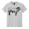 Youth DryBlend ® 50 Cotton/50 Poly T Shirt Thumbnail