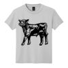 Youth DryBlend ® 50 Cotton/50 Poly T Shirt Thumbnail