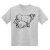 Youth DryBlend ® 50 Cotton/50 Poly T Shirt Thumbnail