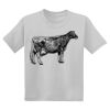 Youth DryBlend ® 50 Cotton/50 Poly T Shirt Thumbnail