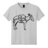 Youth DryBlend ® 50 Cotton/50 Poly T Shirt Thumbnail