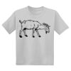 Youth DryBlend ® 50 Cotton/50 Poly T Shirt Thumbnail