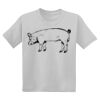Youth DryBlend ® 50 Cotton/50 Poly T Shirt Thumbnail