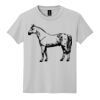 Youth DryBlend ® 50 Cotton/50 Poly T Shirt Thumbnail