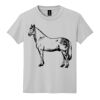 Youth DryBlend ® 50 Cotton/50 Poly T Shirt Thumbnail