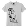 Youth DryBlend ® 50 Cotton/50 Poly T Shirt Thumbnail