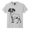 Youth DryBlend ® 50 Cotton/50 Poly T Shirt Thumbnail
