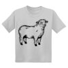 Youth DryBlend ® 50 Cotton/50 Poly T Shirt Thumbnail