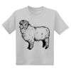 Youth DryBlend ® 50 Cotton/50 Poly T Shirt Thumbnail