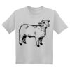 Youth DryBlend ® 50 Cotton/50 Poly T Shirt Thumbnail