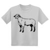 Youth DryBlend ® 50 Cotton/50 Poly T Shirt Thumbnail