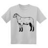 Youth DryBlend ® 50 Cotton/50 Poly T Shirt Thumbnail