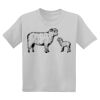 Youth DryBlend ® 50 Cotton/50 Poly T Shirt Thumbnail