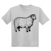 Youth DryBlend ® 50 Cotton/50 Poly T Shirt Thumbnail