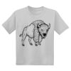 Youth DryBlend ® 50 Cotton/50 Poly T Shirt Thumbnail