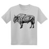 Youth DryBlend ® 50 Cotton/50 Poly T Shirt Thumbnail