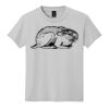Youth DryBlend ® 50 Cotton/50 Poly T Shirt Thumbnail