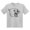 Youth DryBlend ® 50 Cotton/50 Poly T Shirt Thumbnail