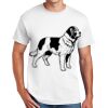 Copy of DryBlend ® 50 Cotton/50 Poly T Shirt Thumbnail
