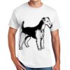 Copy of DryBlend ® 50 Cotton/50 Poly T Shirt Thumbnail