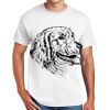 Copy of DryBlend ® 50 Cotton/50 Poly T Shirt Thumbnail