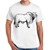 Copy of DryBlend ® 50 Cotton/50 Poly T Shirt Thumbnail