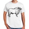 Copy of DryBlend ® 50 Cotton/50 Poly T Shirt Thumbnail