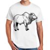 Copy of DryBlend ® 50 Cotton/50 Poly T Shirt Thumbnail