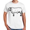 Copy of DryBlend ® 50 Cotton/50 Poly T Shirt Thumbnail