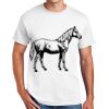 Copy of DryBlend ® 50 Cotton/50 Poly T Shirt Thumbnail