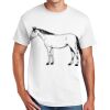 Copy of DryBlend ® 50 Cotton/50 Poly T Shirt Thumbnail