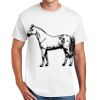 Copy of DryBlend ® 50 Cotton/50 Poly T Shirt Thumbnail