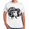 Copy of DryBlend ® 50 Cotton/50 Poly T Shirt Thumbnail