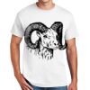 Copy of DryBlend ® 50 Cotton/50 Poly T Shirt Thumbnail