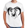 Copy of DryBlend ® 50 Cotton/50 Poly T Shirt Thumbnail