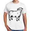 Copy of DryBlend ® 50 Cotton/50 Poly T Shirt Thumbnail