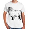 Copy of DryBlend ® 50 Cotton/50 Poly T Shirt Thumbnail