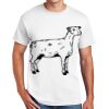 Copy of DryBlend ® 50 Cotton/50 Poly T Shirt Thumbnail