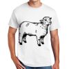 Copy of DryBlend ® 50 Cotton/50 Poly T Shirt Thumbnail