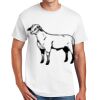 Copy of DryBlend ® 50 Cotton/50 Poly T Shirt Thumbnail