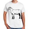 Copy of DryBlend ® 50 Cotton/50 Poly T Shirt Thumbnail