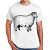 Copy of DryBlend ® 50 Cotton/50 Poly T Shirt Thumbnail