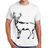 Copy of DryBlend ® 50 Cotton/50 Poly T Shirt Thumbnail